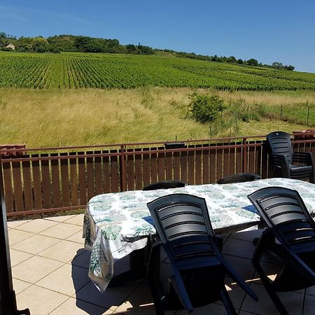 Maison Au Milieu Des Vignes Moroges المظهر الخارجي الصورة
