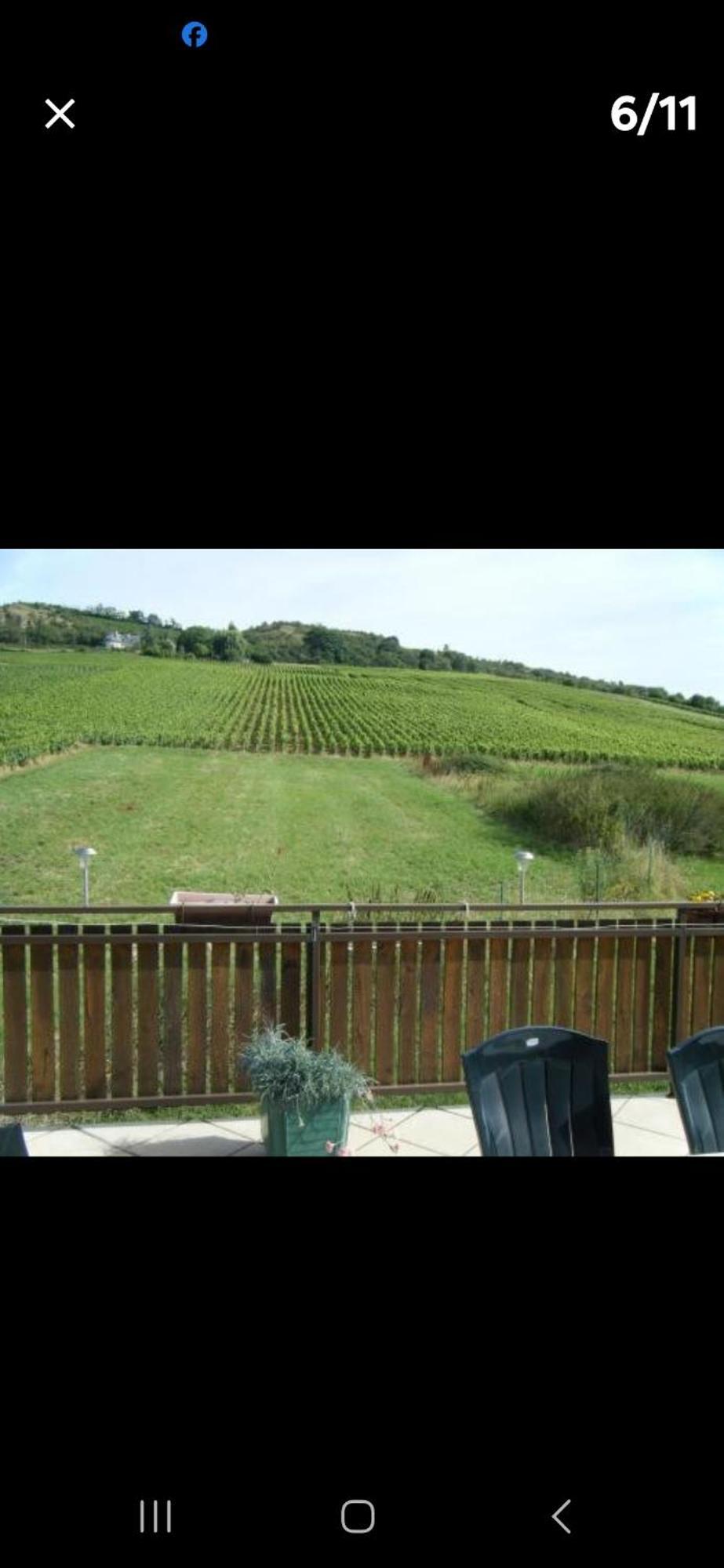 Maison Au Milieu Des Vignes Moroges المظهر الخارجي الصورة